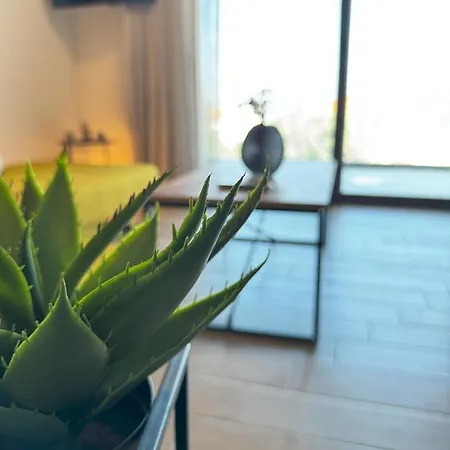 Mente Azul Hébergement de vacances